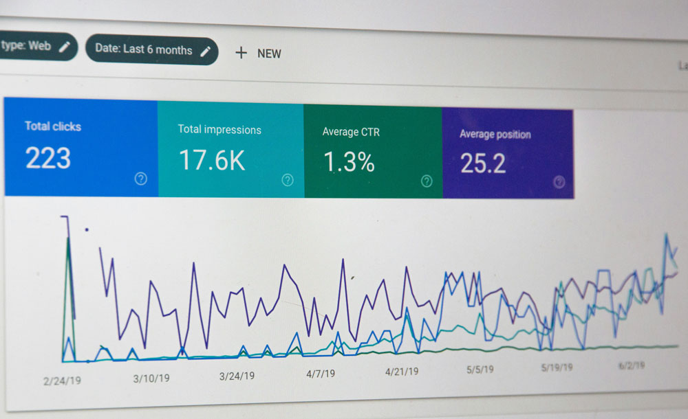 Google Search Console page displaying analytics for a case study